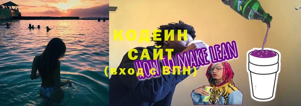 хмурый Рославль