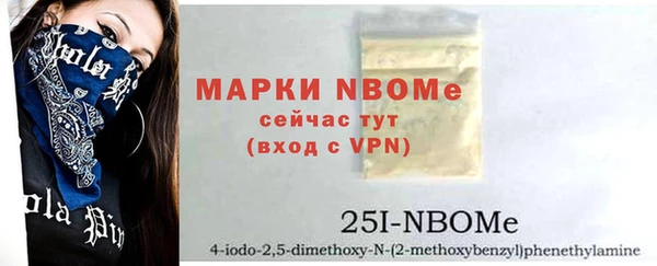 хмурый Рославль