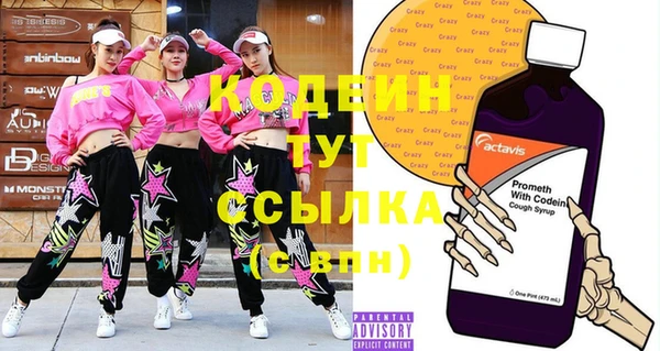 хмурый Рославль