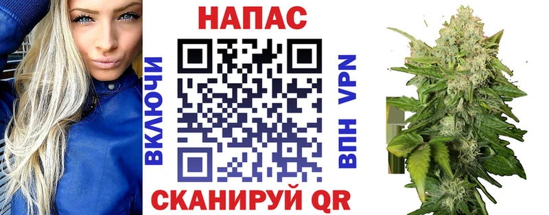 Каннабис индика  Тырныауз 